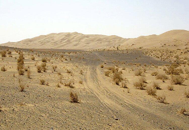 مبارزه با گسترش بیابان در سیستان و بلوچستان مبارزه با گسترش بیابان در سیستان و بلوچستان