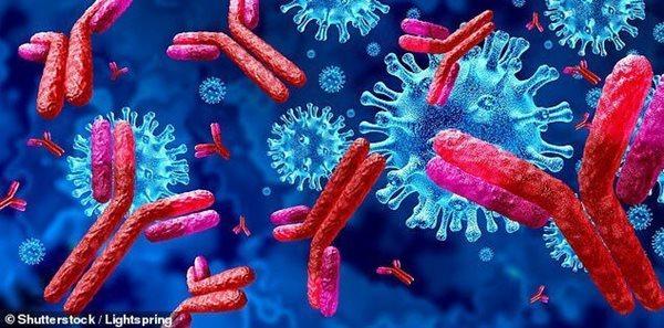 خودپادتن ها، متهم اول عوارض شدید کووید-19 خودپادتن ها، متهم اول عوارض شدید کووید-19
