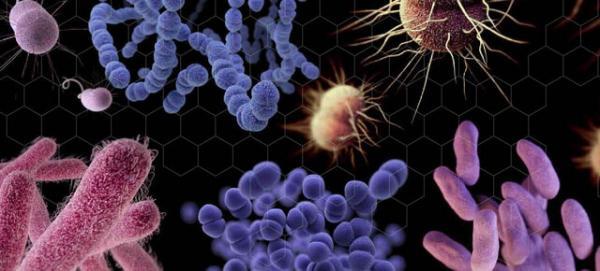 خطر افزایش باکتری های مقاوم به آنتی بیوتیک با ادامه همه گیری
