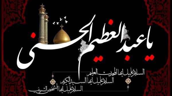 دلمان تنگ حسین (ع) که می گردد، زائر سیدالکریم می شویم