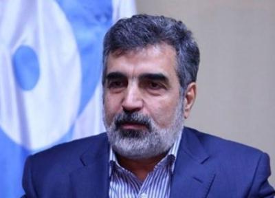 سخنگوی سازمان انرژی اتمی: حدود 10 دوربین آژانس در اصفهان فعال شده، بازرسی آنلاین نداریم، موضوع تورقوزاباد و ورامین یک روزه قابل حل است